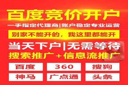专业SEM代运营公司案例分析